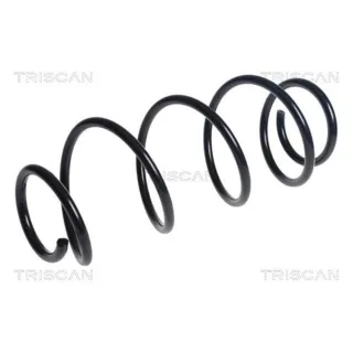Triscan Feder vorne Peugeot 308 2