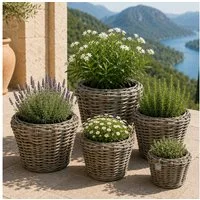 Van der Leeden Blumentopf Pflanzkorb Pflanzentreppe 5tlg Rattan Korb Pflanzkübel (Set, 5 St., Packung), Indoor & Outdoor, 5 Größen, Rattan, Handmade, ohne Wasserablauf
