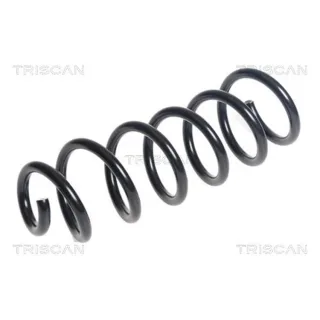 Triscan Feder hinten Dacia Sandero 2 Tce 90