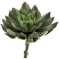Kunstpflanze Exner Sukkulenten, Grün, 13 cm lang, 245411, Exner GmbH Garten- & Wohnaccessoires