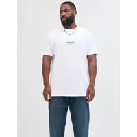 Jack & Jones PlusSize Rundhalsshirt JJESOHO TEE SS CREW NECK NOOS PLS Baumwolle, regular fit