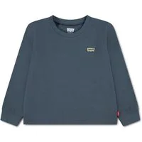 Levi's® Kids Langarmshirt LVB LS GRAPHIC TEE SHIRT aus Baumwolle, mit kleinem Logobadge - for Boys