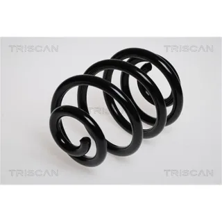Triscan Feder hinten Ford Seat VW Sharan 875029039