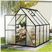 FIVMEN Gewächshaus Premium Gartengewächshäuser Aluminium mit 6 cm Fundament, 4 mm PC Platte Treibhaus Tomatenhaus Gartenhaus UV beständig