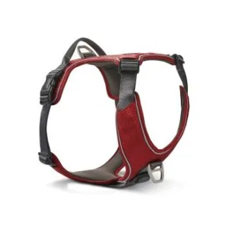 Wolters Active Pro Comfort Hundegeschirr anthrazit/ rot XXS