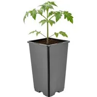 Garronda Blumentopf Kunststoff hoch eckig mit Drainagelöchern für Garten GD-0201 (1 St)