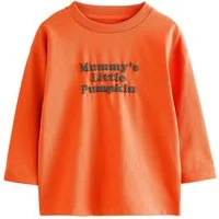 Next Langarmshirt Langärmeliges Shirt mit Rückengrafik (1-tlg)