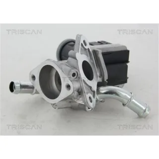 Triscan AGR-Ventil Ford Transit 881316036