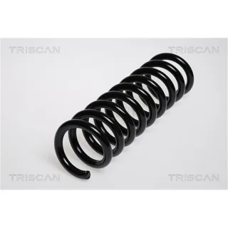 Triscan Feder hinten Mercedes E-Klasse W210