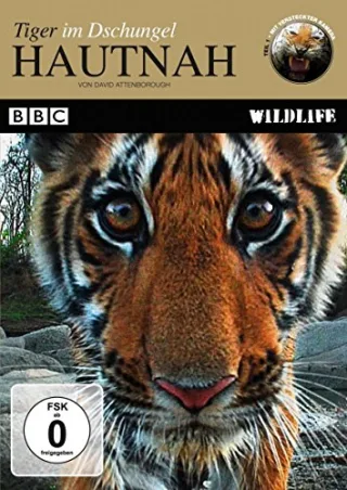 Hautnah - Tiger im Dschungel [DVD] [2010]