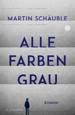 Alle Farben grau: Roman | wichtiger Roman über psychische Erkrankungen bei Jugendlichen (ab 14 Jahre) ? von Erfolgsautor Martin Schäuble