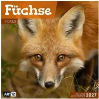 Ackermann Wandkalender Füchse Kalender 2027 - 30x30 - Art12