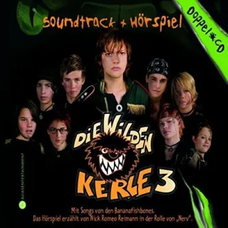 Die Wilden Kerle 3-Doppelbox