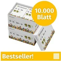 Infowerk Druckerpapier Kopierpapier 10000 Blatt A4 80g Premium Weiß Testsieger PEFC, PEFC-Zertifikat (GFA-PEFC-COC-500582)