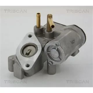 Triscan AGR-Ventil Opel Movano Renault Master