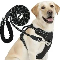 Reichstadt Hunde-Geschirr RS Pets Hundegeschirr & Leinen Set 25RSP083-4, Polyester, atmungsaktives Netzgewebe und robuster Oxford-Stoff