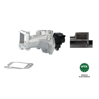 NTK AGR-Ventil Citroen Fiat Ford Jaguar Mitsubishi Peugeot 2,2