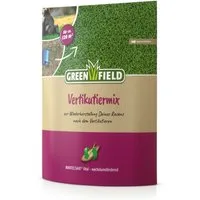 Greenfield Rasensamen Vertikutier-Mix 2,5 kg, Regeneration nach dem Vertikutieren, 2.5 kg
