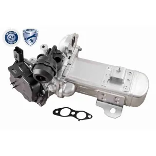 Vemo AGR-Ventil Citroen Ford Peugeot