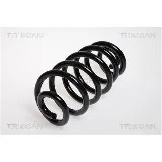 Triscan Feder hinten Audi A4 Seat Exeo 875029093