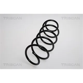 Triscan Feder vorne Citroen C2 Peugeot 1007