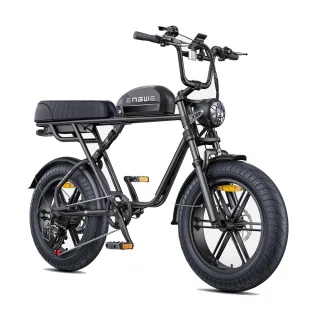 [EU DIRECT] ENGWE M1 Electric Bike 48V 15.6AH 250W Motor 20inch Tire 90KM Max Mileage 150KG Max Load Electric Bicycle
