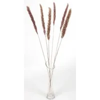 Kunstpflanze Pampasgras getrocknet 65-75cm Trockenstrauß Dekogras Wedel Grashalme R, DIJK