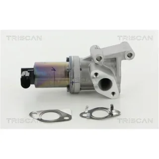 Triscan AGR-Ventil Hyundai Kia 881318038