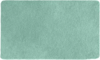 60 x 100 cm