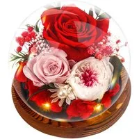 Kunstblume Rosen Glas Infinity Ewige Muttertag Geburtstagsgeschenk Rund-rouge, LuxusKollektion