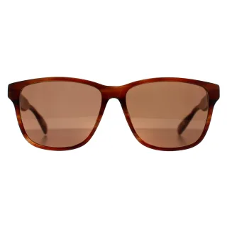 Ted Baker TB8232 151 braun Horn braun Sonnenbrille