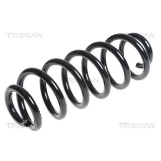 Triscan Feder hinten Seat Alhambra VW Sharan 875029369