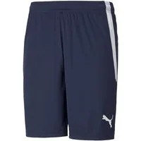 PUMA Trainingsshorts Puma Herren Shorts teamLIGA Shorts 704924