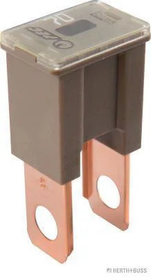 HERTH&BUSS Sicherung, PAL-AS, 32V max. braun - 50295447