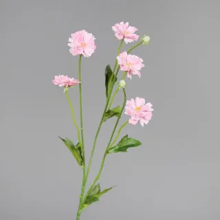 70 cm