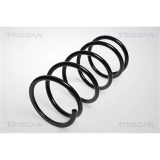 Triscan Feder vorne Hyundai Santa Fe 1