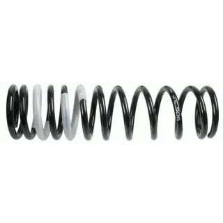 Sachs Feder hinten Ford Focus 1 996740