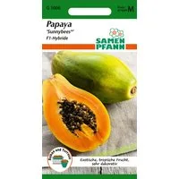 SAMEN PFANN Gemüsesamen Papaya, Sunnybees® F1 - Melonen-Samen Saatgut Samen, Carica Papaya