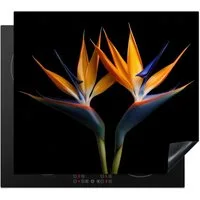 MuchoWow Herd-Abdeckplatte Pflanzen - Blumen - Paradiesvogelblume - Porträt - Schwarz, Vinyl, (1 tlg), Ceranfeldabdeckung Küche, Herdabdeckplatte Einteilig, 60x52 cm