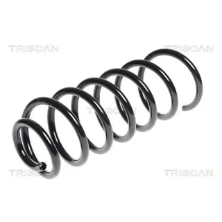 Triscan Feder hinten Citroen Berlingo Peugeot Partner 875028306