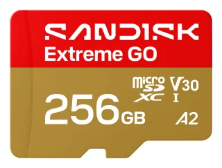 SanDisk Extreme Go | sdsqxgn-256g-gn6mn | Flash-Speicherkarte - 256