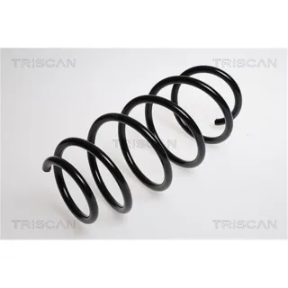 Triscan Feder vorne Ford Fusion 1,4