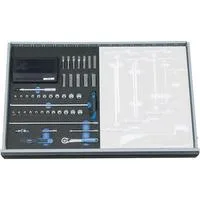 Steckschlüssel-Sortiment 1/4" in Check-Tool-Modul, 67teilig (2005 CT2-D 20)
