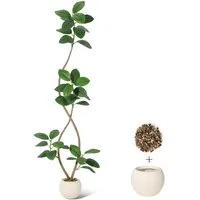 Kunstbaum Künstlicher Geigenfeigenbaum Kunstpflanzen Künstliche Zimmerpflanze, GarveeMore, Höhe 150 cm