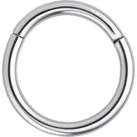 Wildcat Nasenpiercing Hinged Segmentring für Ohr, Nase, Lippe, Bauchnabel, 1 Stück, Chirurgenstahl 316L - wasserfest, hautverträglich, Silber
