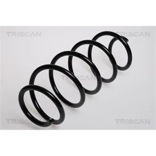 Triscan Feder vorne Ford Mondeo 3 1,8 2,0