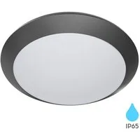 Braytron LED Deckenleuchte Deckenleuchte Deckenlampe Deckenlicht E27 Grau Eingang Flur A, ohne Leuchtmittel, IP65 wasserdicht