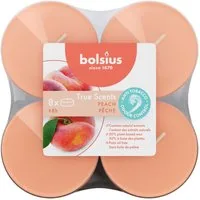Bolsius Duftkerze Bolsius Maxi-Teelichter orange 8h True Scents