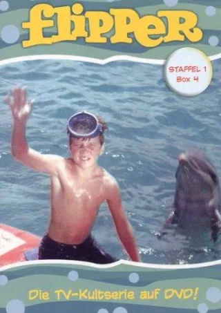 Flipper - Staffel 1 Box 4 [2 DVDs]