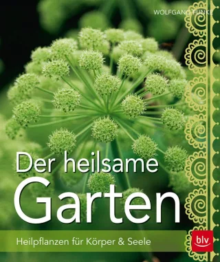 Der heilsame Garten: Heilpflanzen selbst anbauen [Gebundene Ausgabe] [2016] Funke Wolfgang